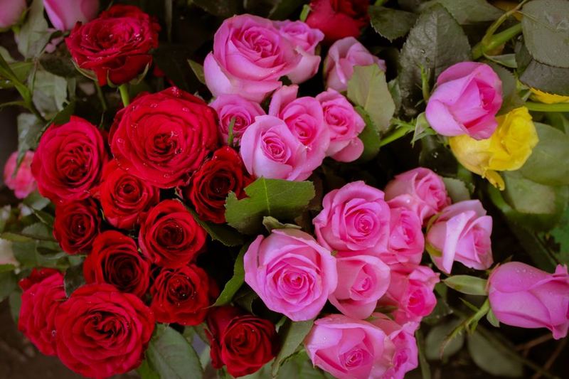Red Rose Anniversary Bouquet